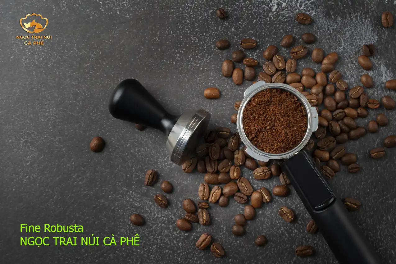 Fine Robusta va tuong lai