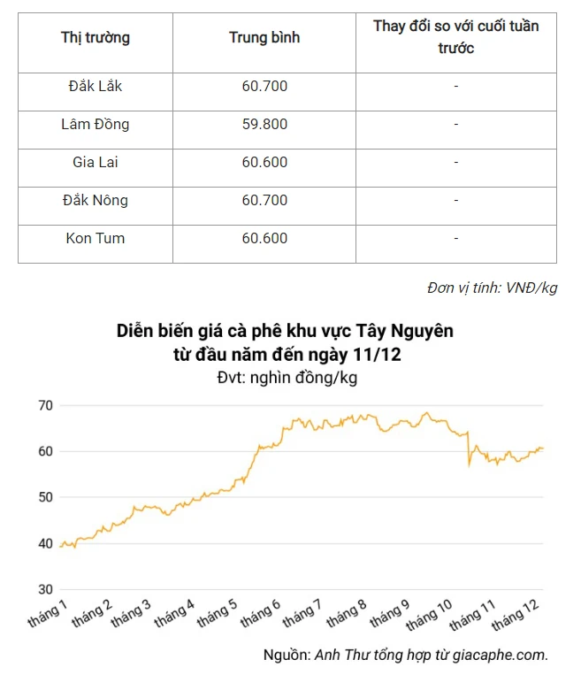 Giá cà phê tháng 12/2023